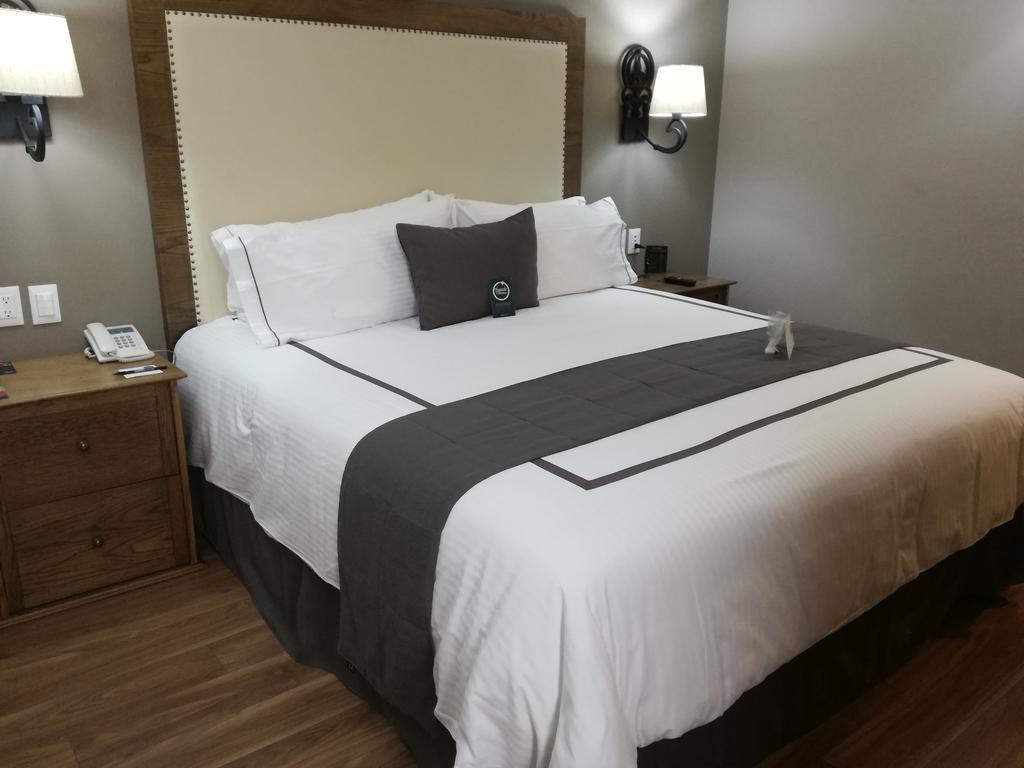 Habitación Doble Estándar - 1 cama